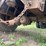 2005-great-dane-trailer-image-14