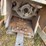 kubota-m5-091-image-16