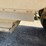 #45428-•-chamberlin-40'-t/a-hopper-bottom-trailer-inv#-45428-image-20