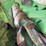 john-deere-8row30-corn-head-image-10