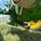 john-deere-g-image-33