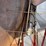 brent-774-image-28