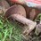 sudenga-super-scoop-image-5
