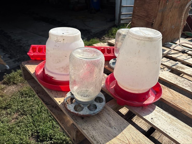 poultry-feeders-image-4