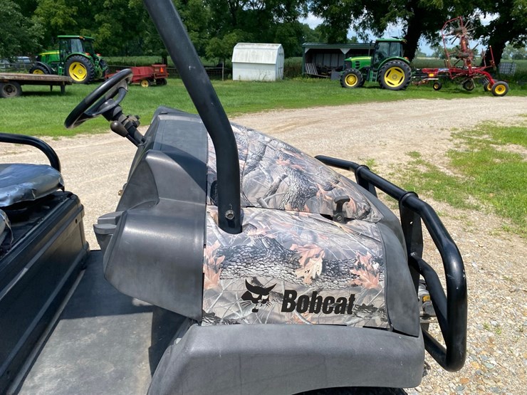 bobcat-image-17