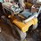 international-cub-image-2