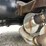 2016-international-durastar-4400-image-17