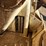 international-cub-image-16