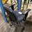 office-chair-image-2