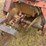 ditch-with-3500-dd-ldb-trencher-image-12