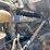 1998-ford-tandem-axle-dump-truck-image-17