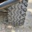 bobcat-image-33