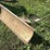 international-cub-image-28