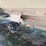 1994-timpte-hopper-bottom-image-20