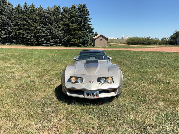 1982-chevrolet-corvette-image-3