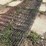 6-cattle-panels-image-2