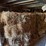 alfalfa-bales-image-2