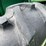 oliver-550-image-34