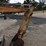 takeuchi-tb025-image-8