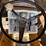 international-cub-image-22