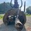 2005-deere-1110d-image-18