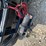 bobcat-image-32