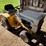 international-cub-image-1
