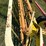 new-holland-56-image-7