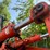 #1511-•-fiat-fr130.2-wheel-loader-image-46