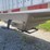 1978-chamberlain-jagh---500-tandem-axle-semi-hopper-trailer-image-28