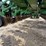2006-john-deere-1770nt-image-24