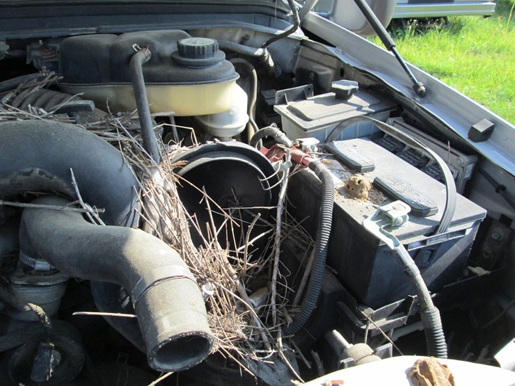 2004-ford-f350-image-24