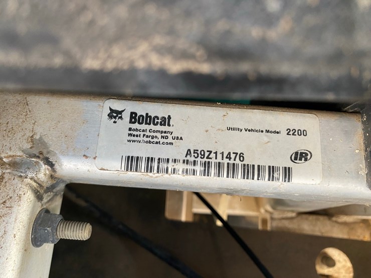 bobcat-image-44
