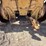 caterpillar-d5b-sa-image-24