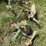 john-deere-237-image-5