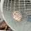 el-jay-1274-image-41