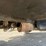 2003-international-durastar-4200-image-33