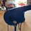 speedy-pet-dryer-image-4