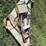 international-cub-image-26