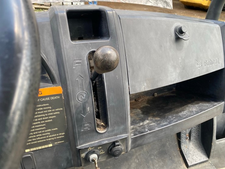 bobcat-image-31