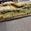 various-sized-treated-lumber-image-1
