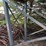 approx-300bu-holding-bin-with-stand-image-8