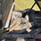 polaris-ranger-image-23