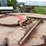 case-ih-1250-image-34