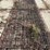 6-cattle-panels-image-3