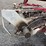 twinstar-hay-rake..-image-19