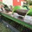john-deere-8row30-corn-head-image-9