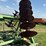 john-deere-230-image-22