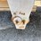 #45428-•-chamberlin-40'-t/a-hopper-bottom-trailer-inv#-45428-image-29