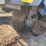#18312-•-2026-sdlool-mini-wheel-dump-truck-(princeton,-mn)-image-12